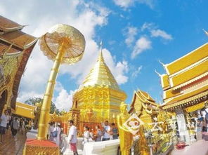 滇台连线 共绘国内旅游新图景