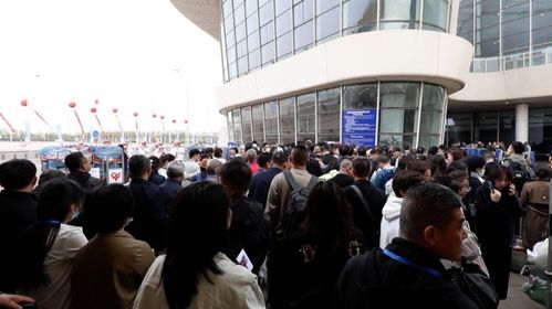 康驰健康产业集团邮轮出境游学活动圆满落幕，引领国内旅游新风向